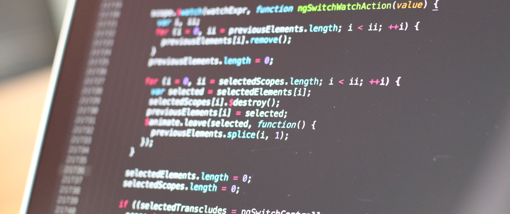 Software Development